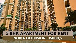 3 BHK Flats for rent in Noida Extension | Apartment for rent in Greater Noida West | JM Florence