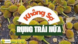 Đánh Bay Nỗi Sợ Rụng Trái Khi Làm Bông