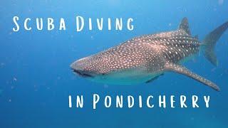 Scuba Diving in Pondicherry | Scuba Diving in India | Temple Adventures | Olympus TG-5