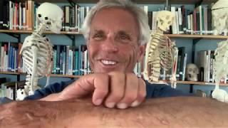 Tom Myers' self massage routine for the hands and arms