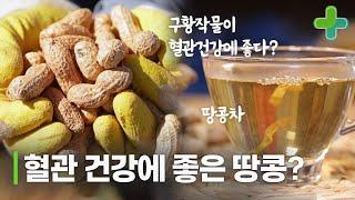 혈관 건강에 좋은 땅콩이 있다? 땅콩으로 혈관 건강 관리