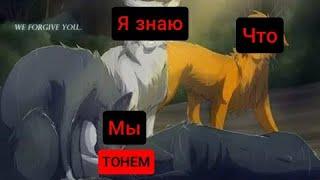 Коты-Воители|Я знаю что мы тонем...