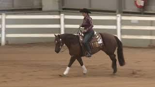 NRHA Oceania 2024 - Intermediate Open Champion