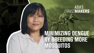 To minimize dengue, we need fewer buildings and more... mosquitos?