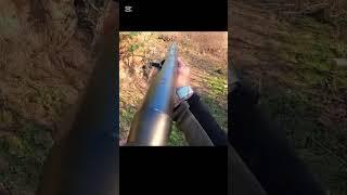 pro hunter  #wildlife #animals #wildernessseason #wildboar