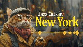 Lofi Radio, Elevate Your Afternoon With Some New York Jazzhop