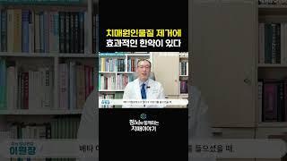 치매 예방에 도움이 되는 한약 #shorts #치매관리 #한방치료 #한약