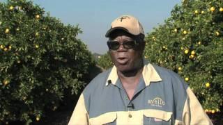 Farming entrepreneurs: Citrus farming