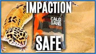 Calci Sand: REALLY The Worst Substrate? - Why Calci Sand Doesn't Cause Impaction