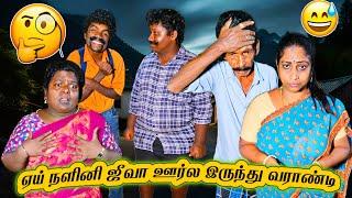 தங்கச்சி நான் மார்க்கெட்டுக்கு போயிட்டு வரேன் வீட்ல பத்திரமா இருமா | Pana Pazham