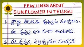 Few Lines about SUNFLOWER | in Telugu | 5 | 10 Lines about SUNFLOWER | in Telugu