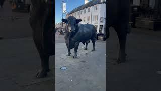 Giant Bull statue