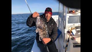 When to Set the Hook?  Non Stop Tautog (Blackfish) Jig Bite