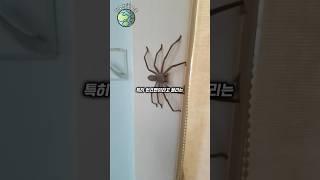 호주에 살기 싫은 이유