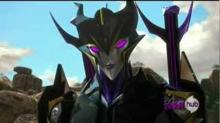TFP: Airachnid's Armada : Insecticons