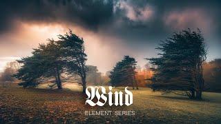 Wind : Dark Gothic Ambient Music