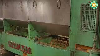 120 TPD Multi-seed Oil Extraction Plant is installed in Uganda by Goyum Screw Press