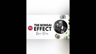 The Bonsai Effect by Pa Reigner Davies