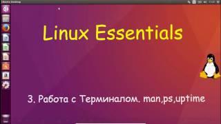 Linux для Начинающих - Работа с Терминалом, первые команды