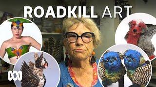 Roadkill artist uses feathers to bring works to life  | ABC Australia