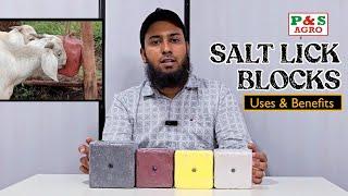 Janwaro ke Chaatne wale Salt Blocks | N S Agro Ahmedabad