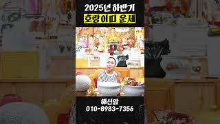 2025년 하반기 엄청난 대운이 들어오는 원숭이띠 운세!