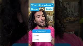 docks vs ducks