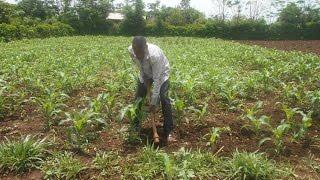 Planting the seeds of faith in East Africa