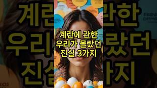 계란에 관한 우리가 몰랐던 진실  3가지 #계란노른자 #콜레스테롤 #심장 #비타민d#콜린#루테인#흡수율#비오틴#아비딘#유통기한