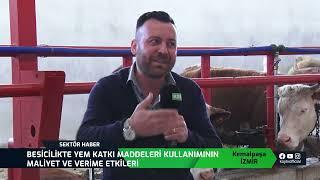 BESİCİLİKTE YEM KATKI MADDELERİ KULLANIMI | SEKTÖR HABER