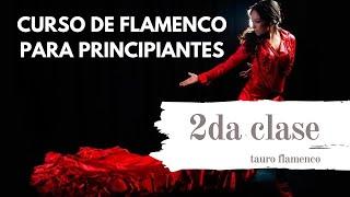 CLASE 2 PRINCIPIANTES . CURSO DE FLAMENCO