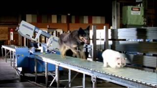 Midalia Steel TV Commercial "Bruce & Moggie"