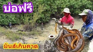 สูบบ่อฟรี มีปลาไหลตัวใหญ่กว่าที่คิด | Ep.096