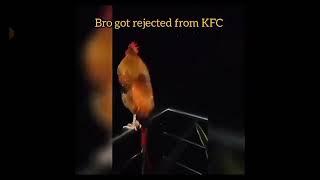 Chicken KFC Interview Full Sad Story 