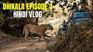 Baagh Ka Intezaar Karte Hue in Jim Corbett Tiger Reserve | Discover Wild Paws Hindi 4K