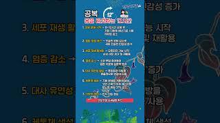 몸을 리셋하는 12시간 공복 시 우리 몸의 변화 #간헐적단식