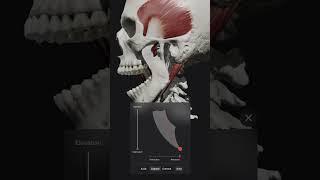 Skull, Teeth & TMJ app