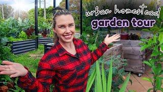 High-density URBAN GARDEN TOUR - 50+ fruit trees on 720sqm!