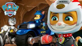 Wild Cat und die Moto-Pups retten eine gefangene Chase und mehr! - PAW Patrol Germany Cartoons