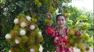 Fresh fruit in my countryside and cook food recipe - Polin lifestyle