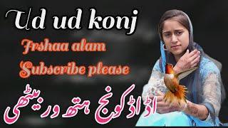 KONJ | UD UD KONJ || GOJRI SONG || GOJRI GAZAL | IRSHANA ALAM