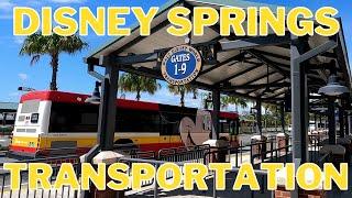 Resort Hopping From Disney Springs! How To Utilize Disney's Free Transportation By Bus Or Water Taxi