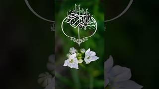 Islamic status 2  ll status # short # shorts #  viral short # rdp islamic status #rdp islamic short