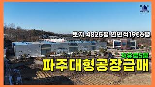 신축 6년차  쓸만한 파주대형공장매매 #파주공장창고매매