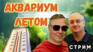 Аквариум летом. Что надо знать. Стрим