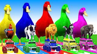 5 Giant Duck Cartoon, Cow, Mammoth, Elephant, Lion, Paint Wild Animals Crossing Fountain Animation