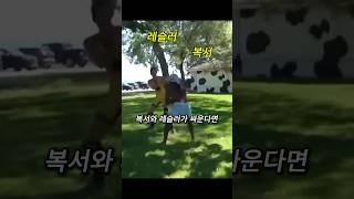 복서 vs 레슬러.. 길거리 실전에서 진짜 이기는 쪽은?