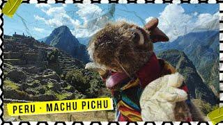 Demian The Rat en Machu Picchu !