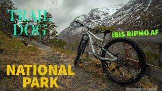 BIKING IN A NATIONAL PARK - SUNNDALEN IN FOLVEN