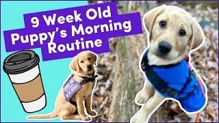 Morning Routine with My 9 Week Old Service Dog in Training: Puppy’s Morning Routine!